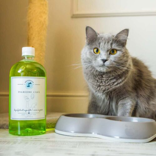 dezinfectant petfriendly Săpunescu
